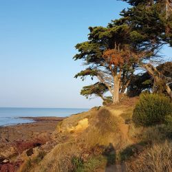 Stage de yoga en Bretagne octobre 2019