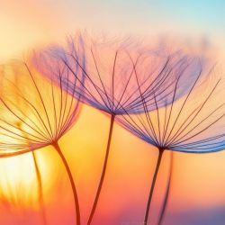 3 fleurs légères symbole du Cercle yoga-thérapeutique Nantes