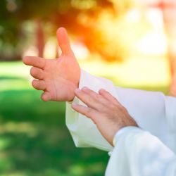 Cours en ligne pratiques de Qi Gong médical pour les Organes Internes
