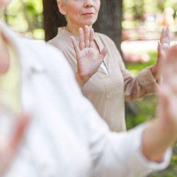 Cours Qi gong à distance 23/24