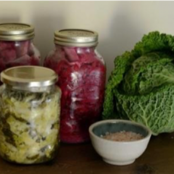 Faire sa lacto-fermentation