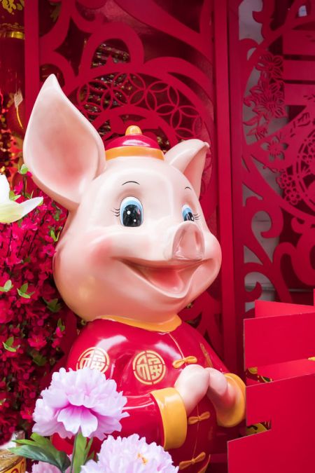 Belle année 2019 Cochon de Terre avec les Ateliers du Bien-ëtre Qi gong et Yoga, Aubenas et Nantes