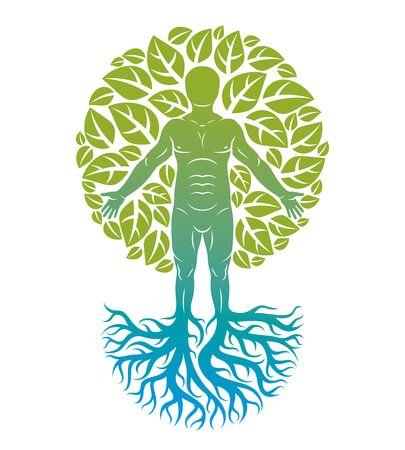 Consultations de Naturopathie à Nantes 