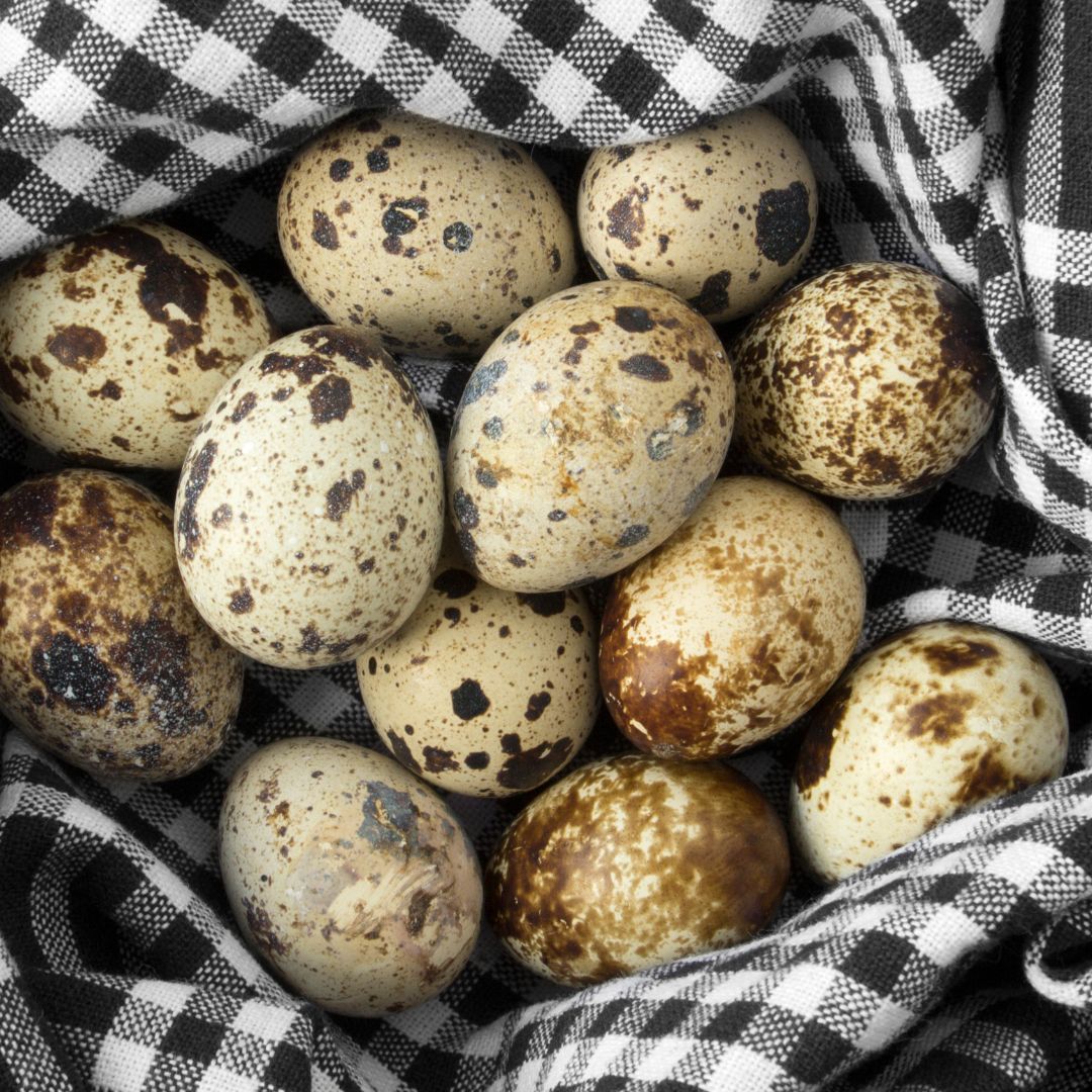 Oeufs de caille remède de l'allergie
