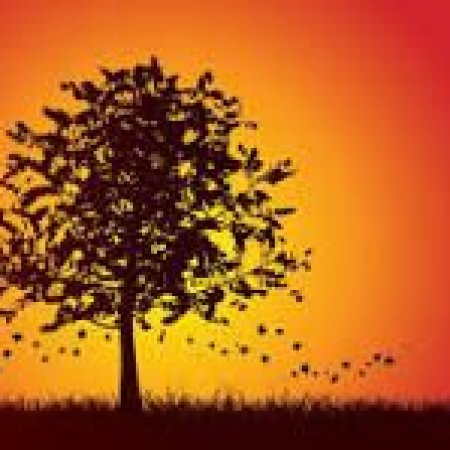 Préparez votre organisme à l'hiver.
Naturopathie énergétique Nantes et Aubenas