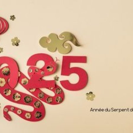 Astrologie chinoise serpent de bois