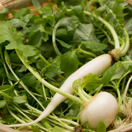 Naturopathie printemps Nantes