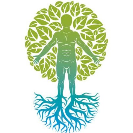 Consultations de Naturopathie à Nantes 