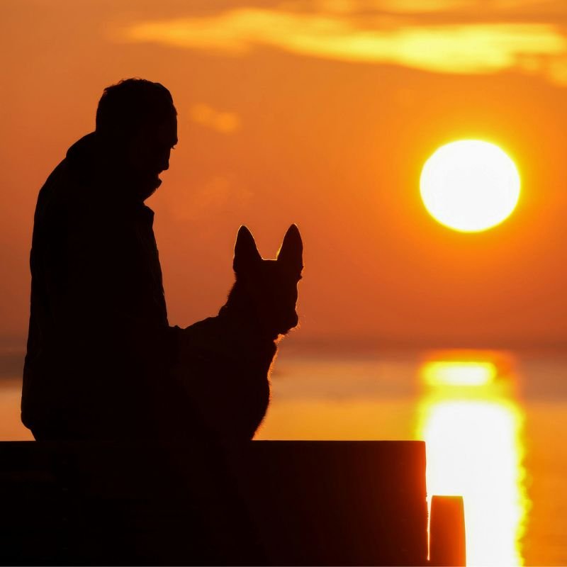 Consultation astrologie indienne en ligne, vidéo et présentiel Les Ateliers du Bien Etre