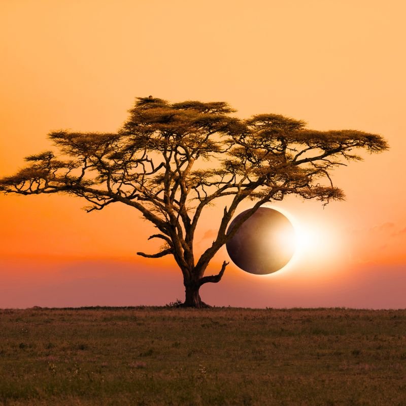 Une éclipse solaire proche de l'horizon