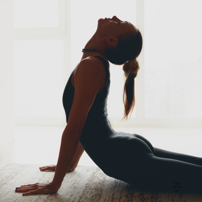 Yoga et Jyotish Nantes Les Ateliers du Bien Etre