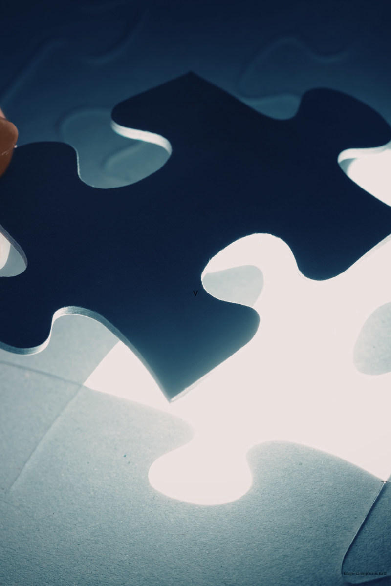 Eclairer sa vie par le Ba zi